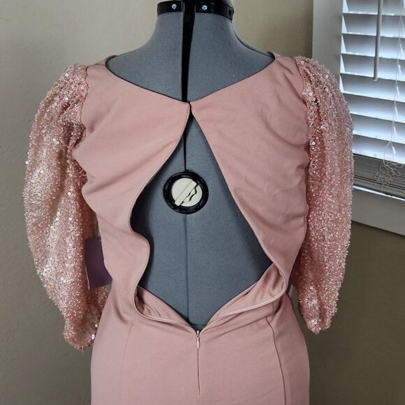 JS COLLECTIONS Beaded Illusion Sleeve Trumpet Gown In Blush NWT Size 4 - Picture 5 of 16